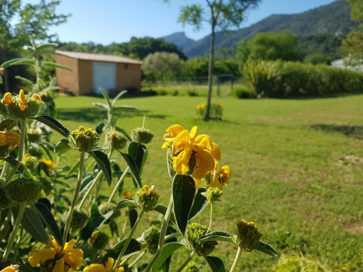 En Provence, Luberon, Villa Avec Piscine A Maubec Экстерьер фото